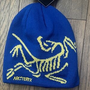 Arc'teryx Beanie in Blue and Yellow